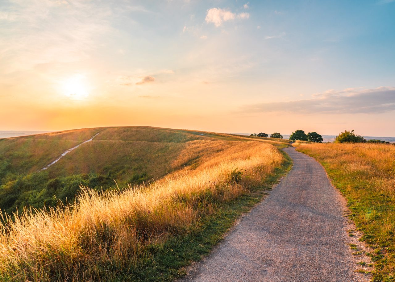 Winding Path